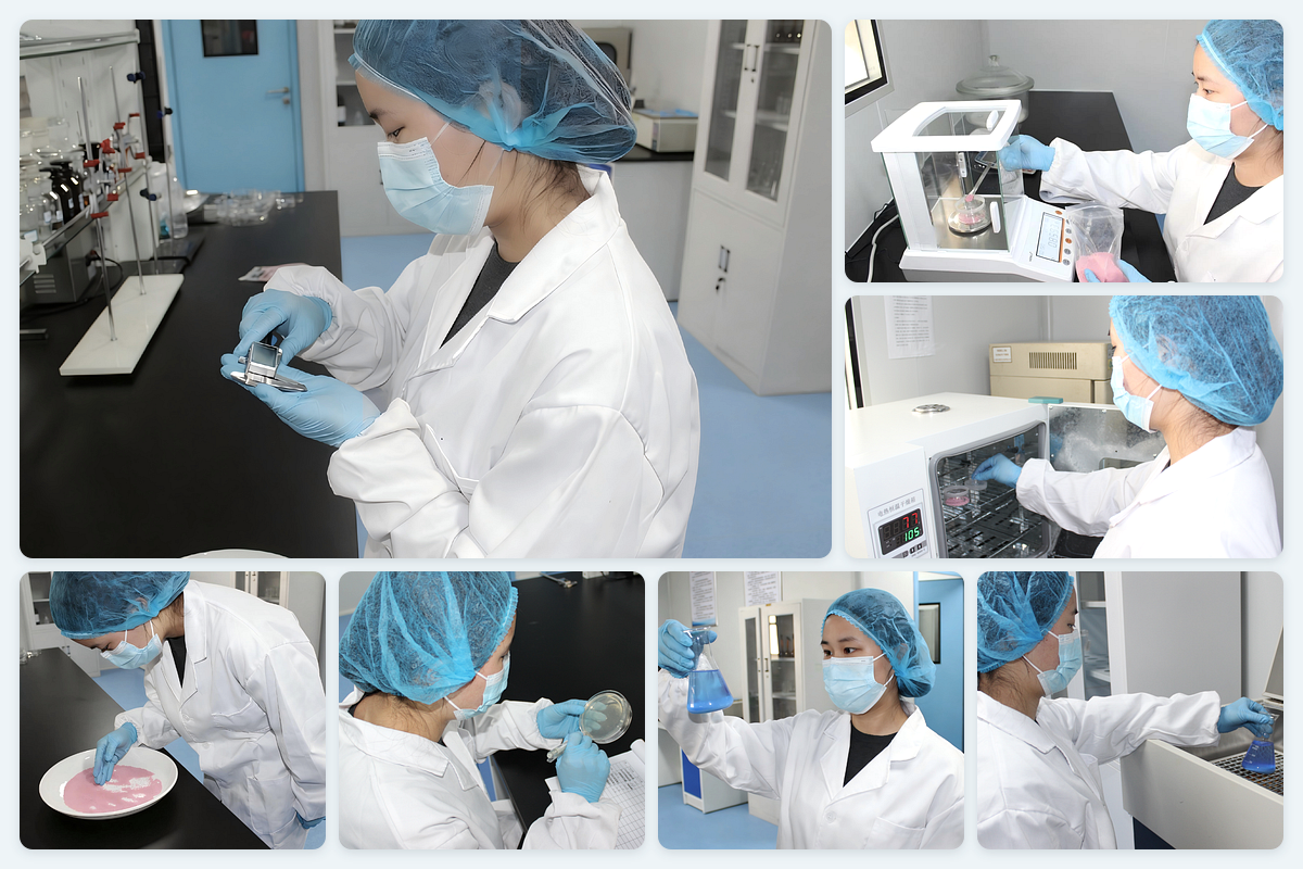 Laboratory staff inspecting and testing capsule samples